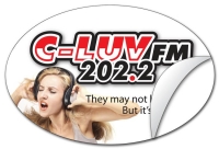 Removable Oval Sticker / Decal - Vinyl UV Coated - 4x6