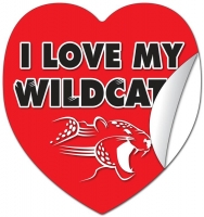 Removable Heart Sticker / Decal - Vinyl UV Coated - 8x8.5