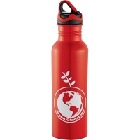 Stainless Steel Bottle