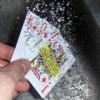 Plastic Playing Cards