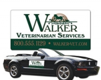 Car Signs-Several Sizes