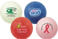 Mini Vinyl Volleyball