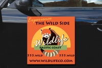 24" x 24" Magnetic Car Signs 